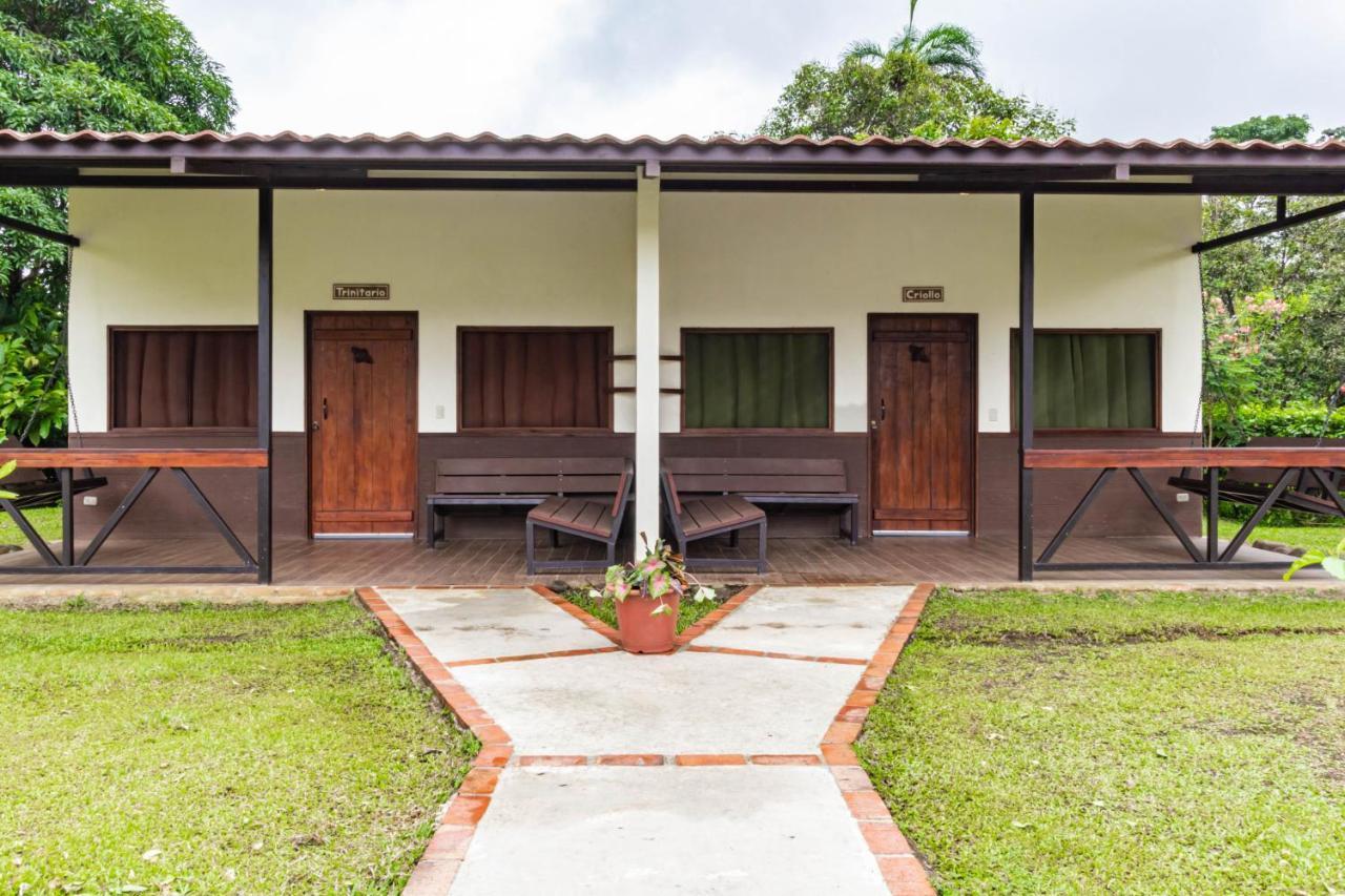 La Anita Rain Forest Colonia Dos Ríos Exterior foto