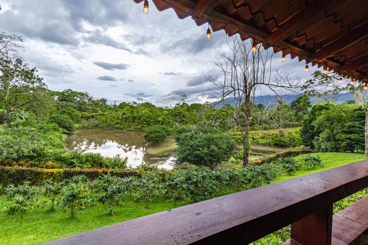 La Anita Rain Forest Colonia Dos Ríos Exterior foto