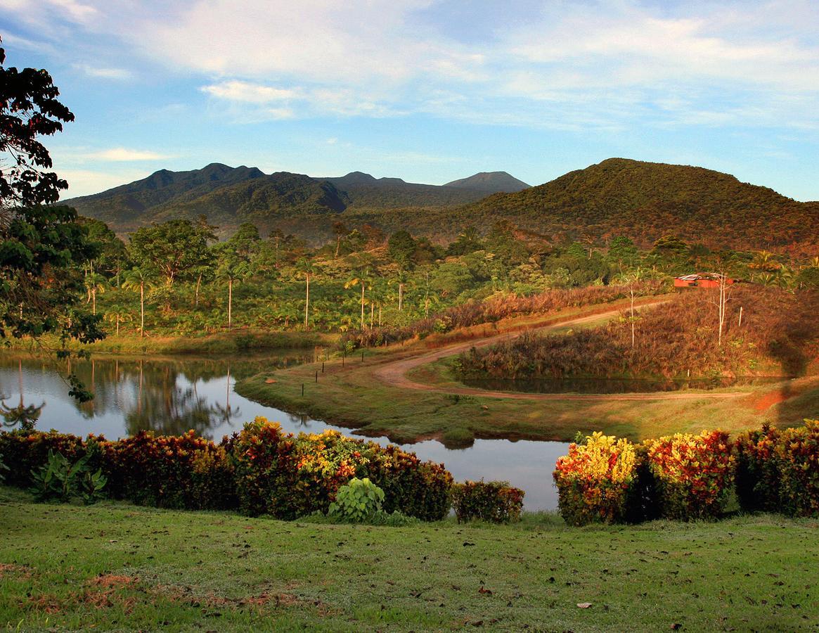 La Anita Rain Forest Colonia Dos Ríos Exterior foto
